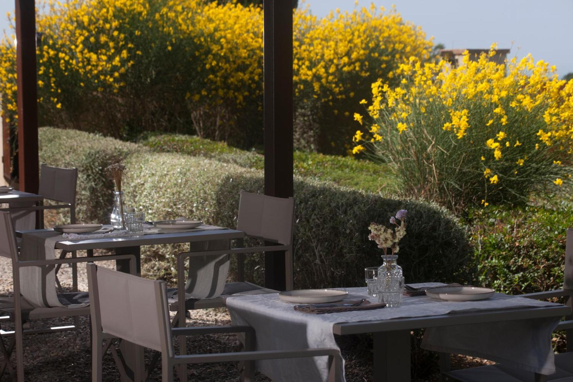 Casale Sterpeti Acomodação com café da manhã Magliano in Toscana Exterior foto