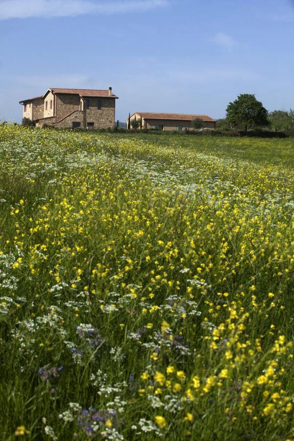 Casale Sterpeti Acomodação com café da manhã Magliano in Toscana Exterior foto